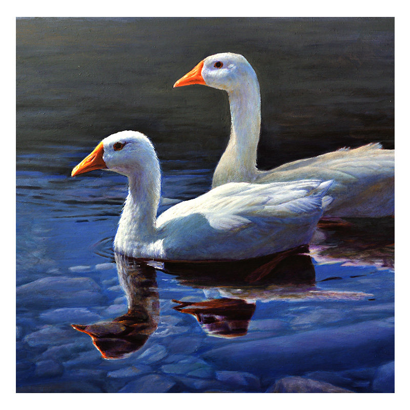 王洪升 《双鹅》 原创孤品 布面油画原作