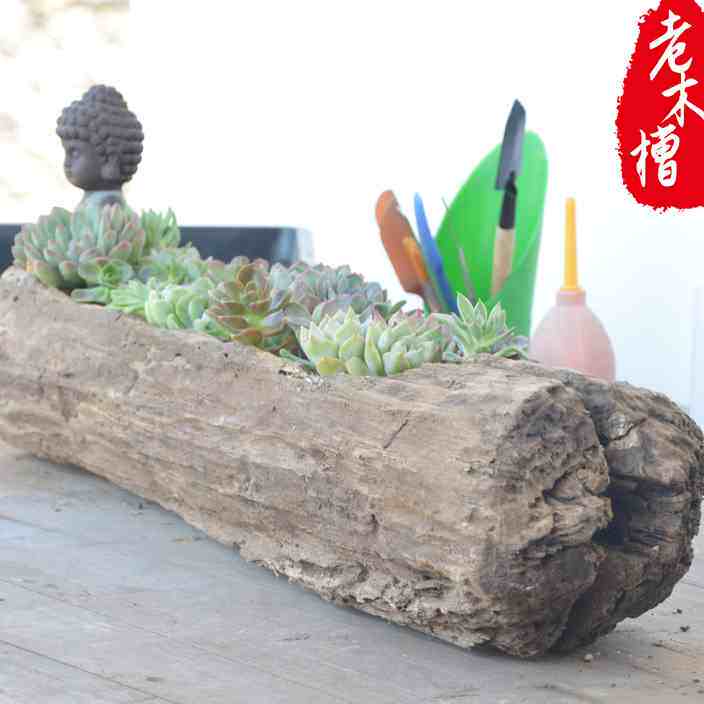 多肉朽风化枯木树根自然原老木槽阳台长方形户外创意旧木质花盆猪