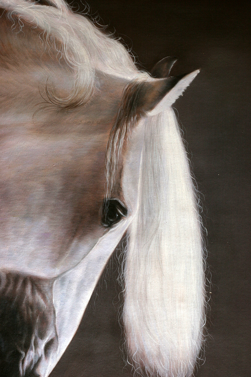 苏章峰《白龙马》