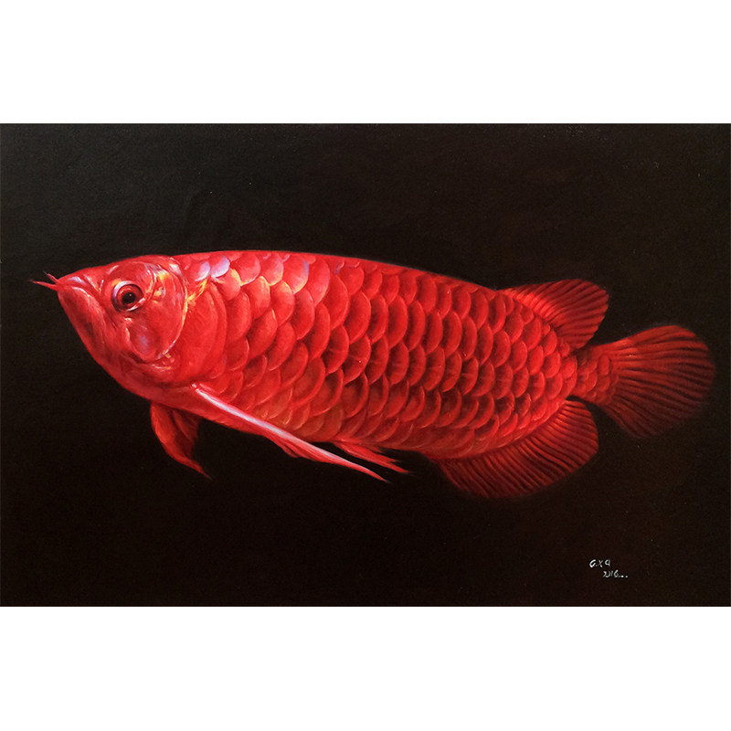 苟向迪《红龙鱼》布面油彩