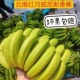 云南威尼斯香蕉自然熟香蕉现摘现发无药水产地直发云南banana包邮