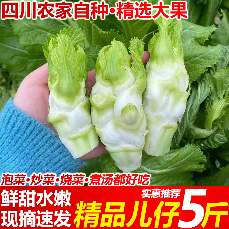 當季新鮮兒菜9斤綠色蔬菜時令嫩兒仔娃娃菜抱子芥菜在類目 水產肉類/新鮮蔬果/熟食, 新鮮蔬菜/蔬菜製品, 新鮮蔬菜, 其它中 - 來自Buy2taobao.com提供專業的淘寶代購服務