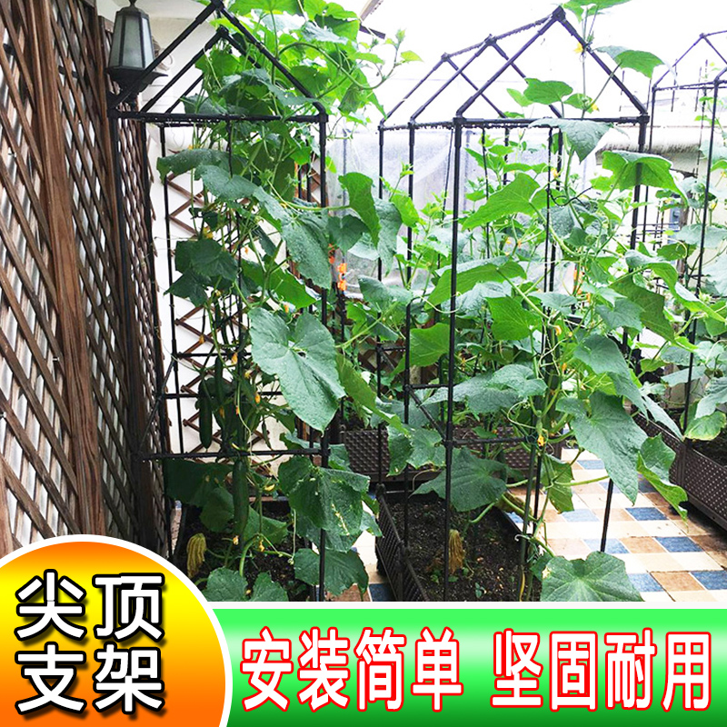 园艺保温棚屋顶种菜搭架黄瓜西红柿支撑架瓜果种菜架包塑钢管包邮