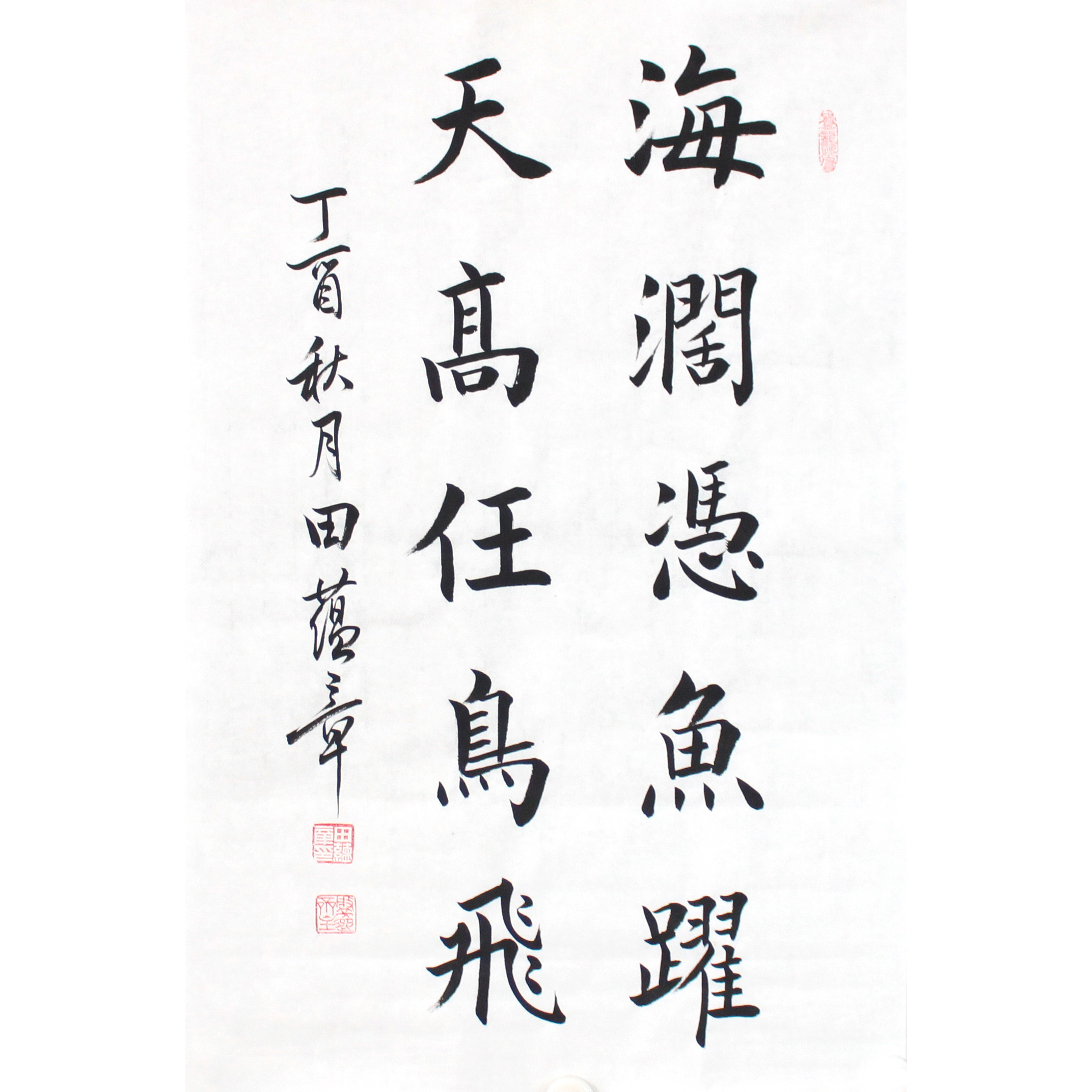 田蕴章 《海阔凭鱼跃》中书协会员