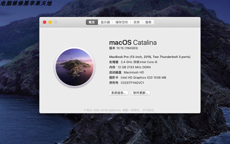 双系统_8代 9代 b360 h310 h370黑苹果双系统远程安装服务macos