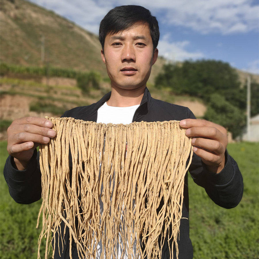 全当归片500g包邮甘肃岷县特产当归无硫全当归500g党归非当归头片