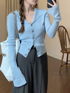 蓝色翻领针织衫女设计感小众长袖2024新款别致短款单排扣上衣外套