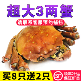【10只】农乡蟹大闸蟹全母3两大螃蟹鲜活特大蟹礼盒现货顺丰