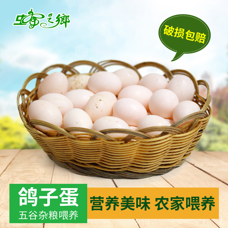 【闪电发货】蜂之乡 新鲜鸽子蛋 农家杂粮生鲜白鸽蛋 30枚在类目 水产肉类/新鲜蔬果/熟食, 蛋/蛋制品, 鲜活蛋类, 鸽蛋中 - 来自Buy2taobao.com提供专业的淘宝代购服务
