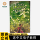 新款精灵之光塔牌罗 Fairy lights tarot塔luo牌韦特神谕卡牌桌游