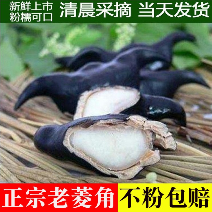 洪湖新鲜老菱角野生现摘青黑红菱角莲棱凌角米干时令水生蔬菜包邮在类目 水产肉类/新鲜蔬果/熟食, 新鲜蔬菜/蔬菜制品, 新鲜蔬菜, 其它中 - 来自Buy2taobao.com提供专业的淘宝代购服务