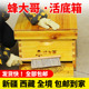 新疆西藏包邮蜂箱活底蜂箱中蜂蜂箱可抽拉杉木煮蜡蜂大哥蜂箱中蜂