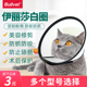 宠物伊丽莎白圈猫狗套头项圈防咬防舔脖套保护圈猫咪项圈狗狗头套