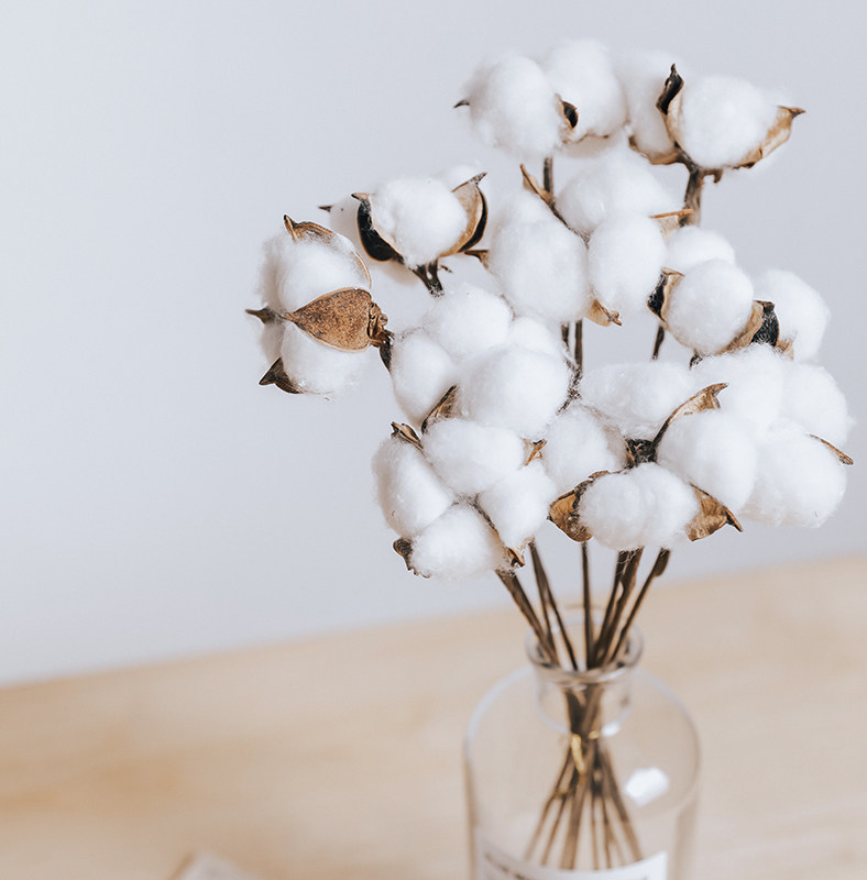 hromeo三室旗舰店的优惠券大全—hromeo 天然棉花插花圣诞装饰品 商场