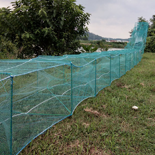 大号折叠全自动捕鱼加厚鱼笼50*80框架密眼捕虾网虾笼大鱼鱼笼子