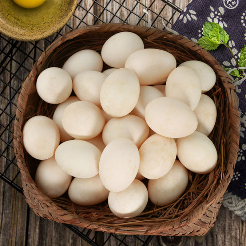 正宗富硒连城白鸭黑嘴鸭新鲜土鸭蛋