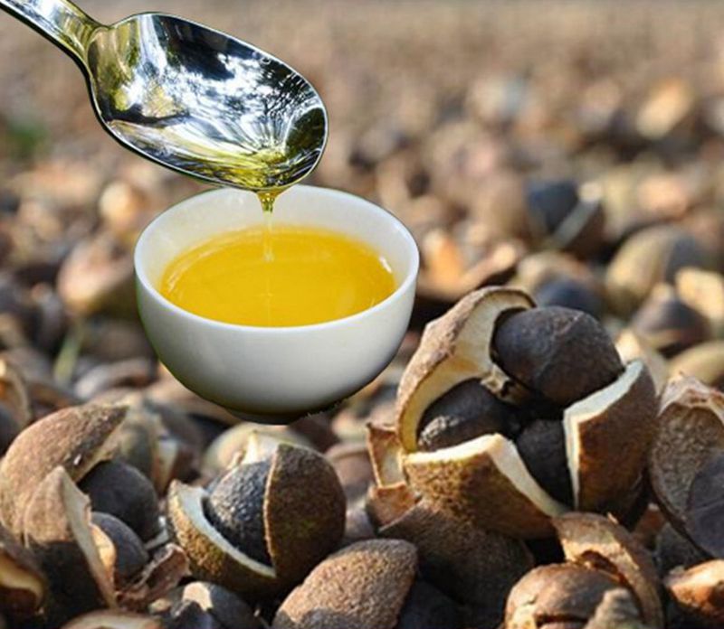 赣南野生纯天然茶油江西特产山茶油养生月子油护肤自制木子油(去比价)