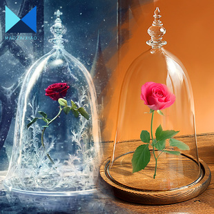 新品美女与野兽玫瑰玻璃罩永生花瓶透明罩子防尘罩摆件情人节礼物
