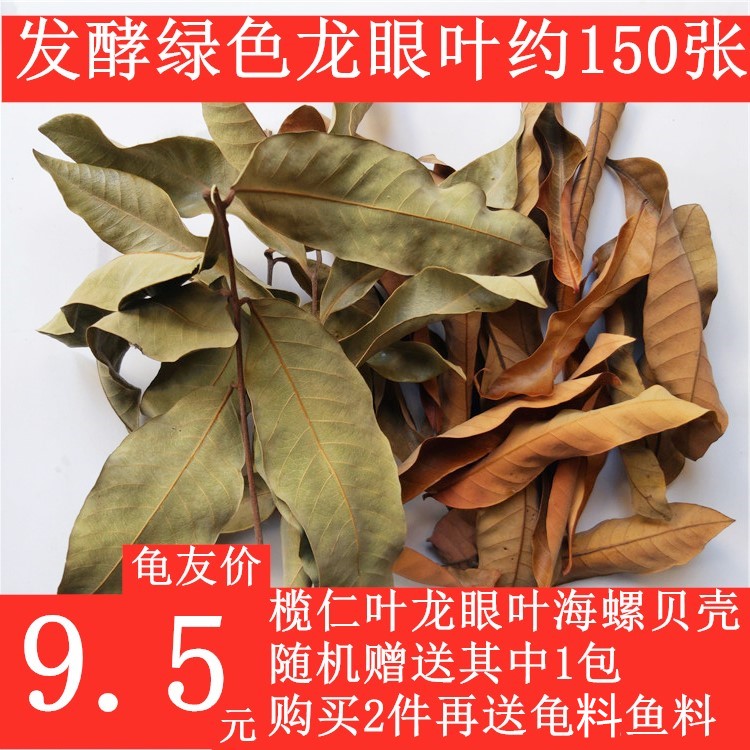 發酵綠色龍眼葉包郵養龜葉子仿原生態烏龜缸龍眼葉養龜調節酸堿度在類目 水產肉類/新鮮蔬果/熟食, 新鮮水果, 龍眼中 - 來自Buy2taobao.com提供專業的淘寶代購服務