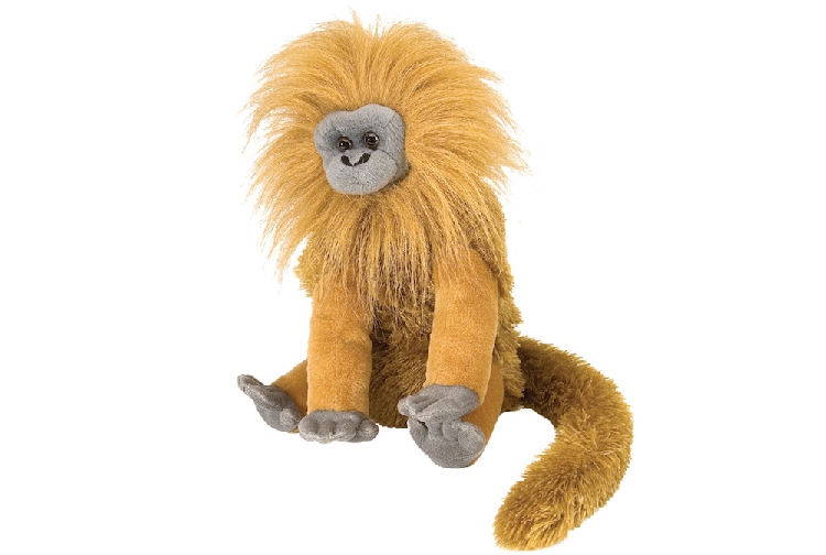 珍惜动物仿真动物世界金丝绒猴子公仔儿童早教育安抚用品毛绒玩具