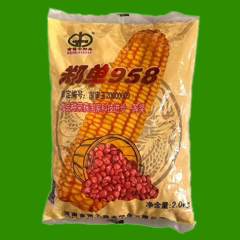 金博士702玉米种子图片