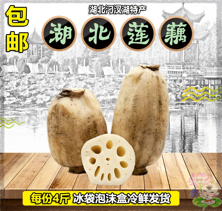 湖北汈汊湖洪湖新鲜汉川莲藕 水产蔬菜 煲煨汤易粉 每份4斤 免邮