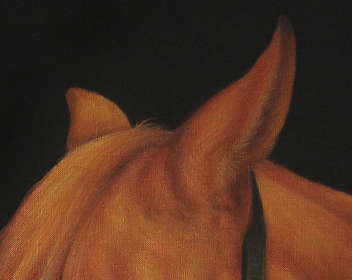 彭中杰 《枣红马》 布面油画