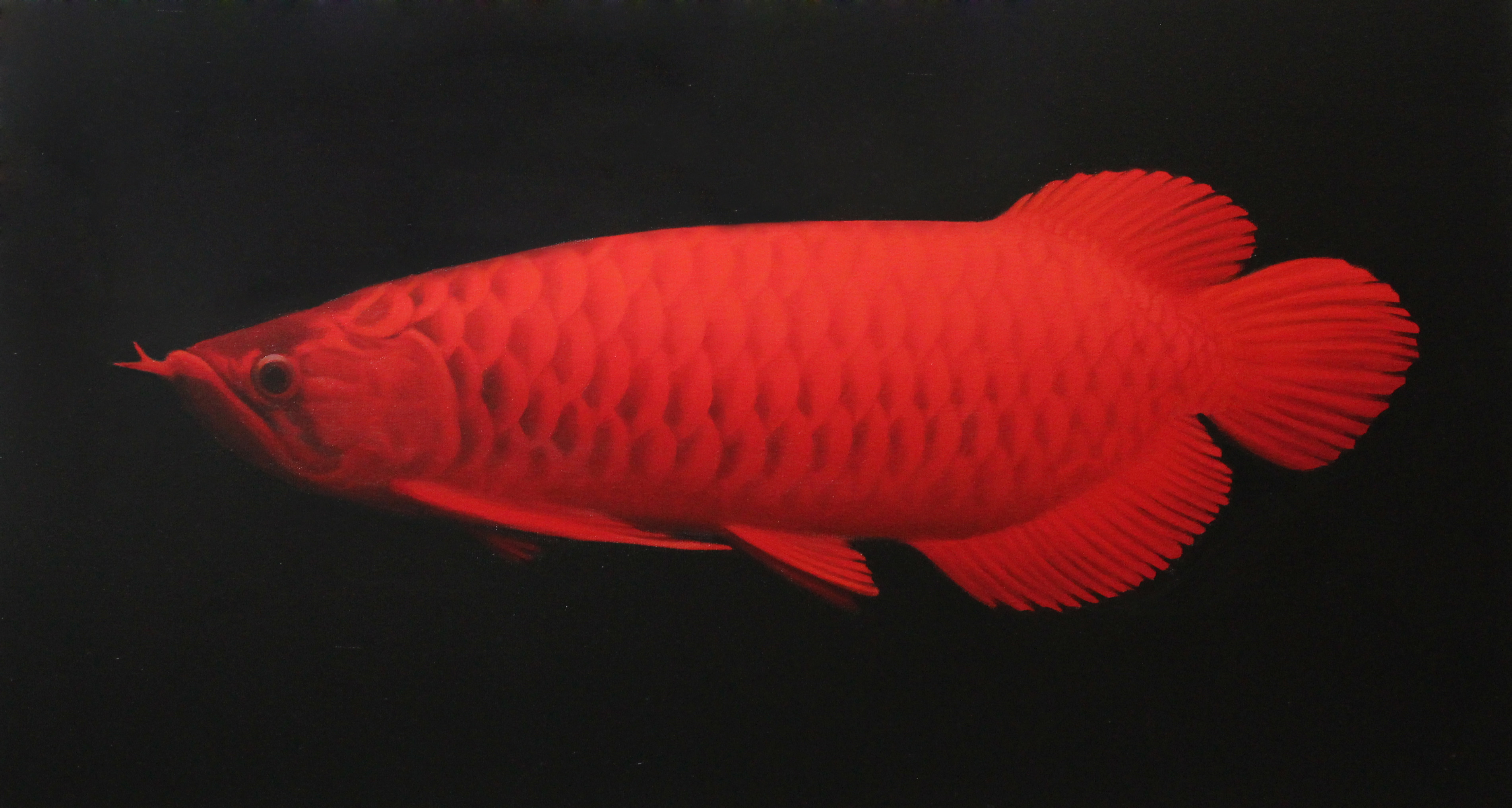 戚雪艳 《红金龙》 布面油画