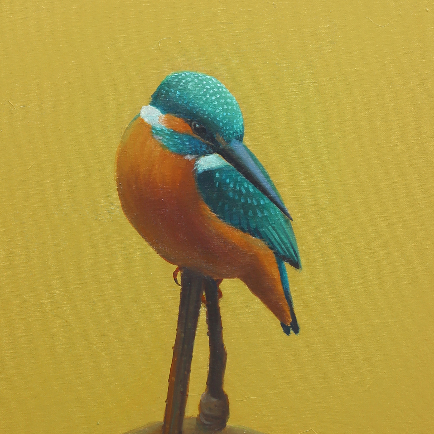 戚雪艳 《翠鸟》 布面油画