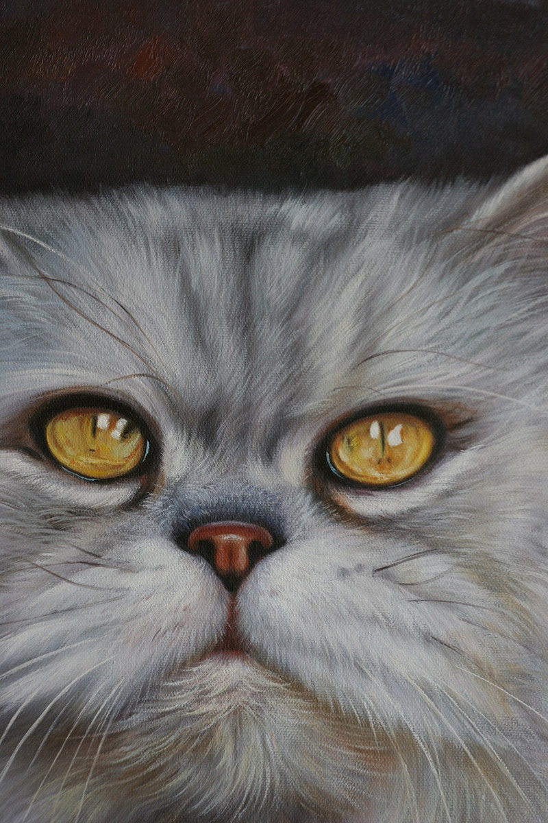 黄剑锋 《猫咪》布面油画 50x60cm