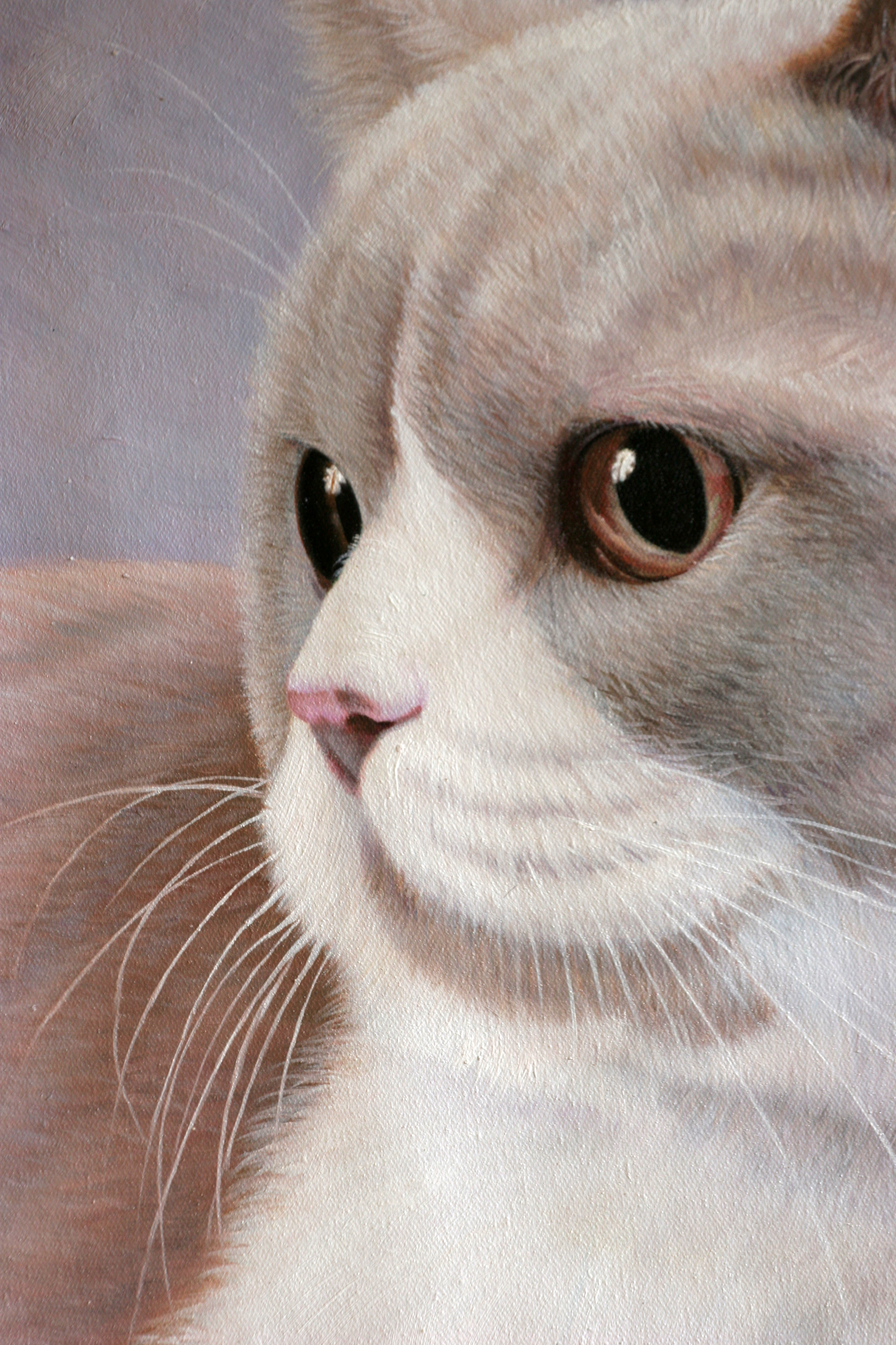黄剑锋 《猫咪》布面油画 50x60cm