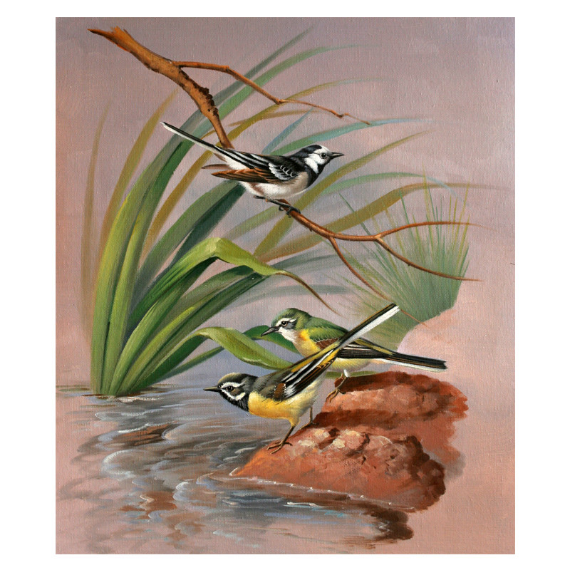 黄晓玲《黄鹂鸟》布面油画 50x60cm