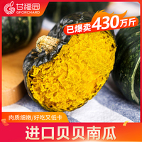 贝贝南瓜板栗味日本小南瓜8斤新鲜蔬菜迷你南瓜宝宝辅食批发包邮