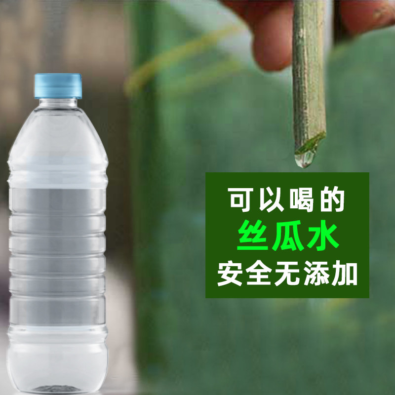 农家采集纯天然丝瓜水原液500ml无添加可以喝丝瓜藤汁爽肤水孕妇