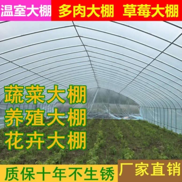 可弯曲夹子夹箍。我想买草莓苗种植大棚栽连栋绿化缩口钢管吊蔓【|ruв категории доставка цветов/цветок моделирования/растения садоводства, садовых принадлежностей, других садовых принадлежностей - от Buy2taobao.com для оказания профессиональной услуги покупки агента Taobao