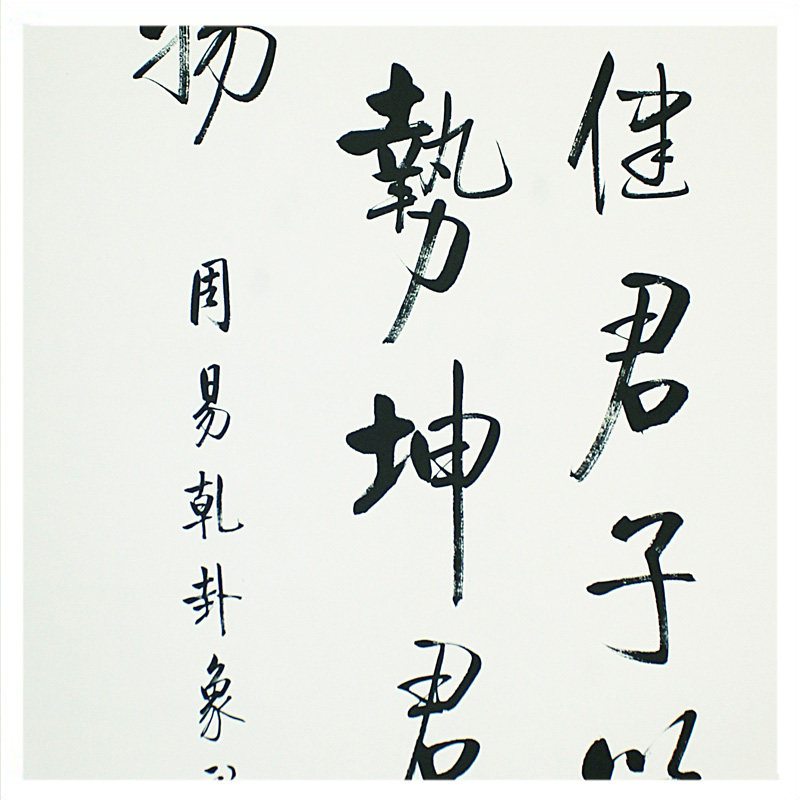 元檏《周易乾卦象辞01》中国著名书法家