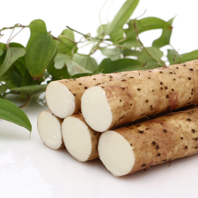 山药5斤装河北麻山药淮山新鲜蔬菜毛山药棒山荮怀山约