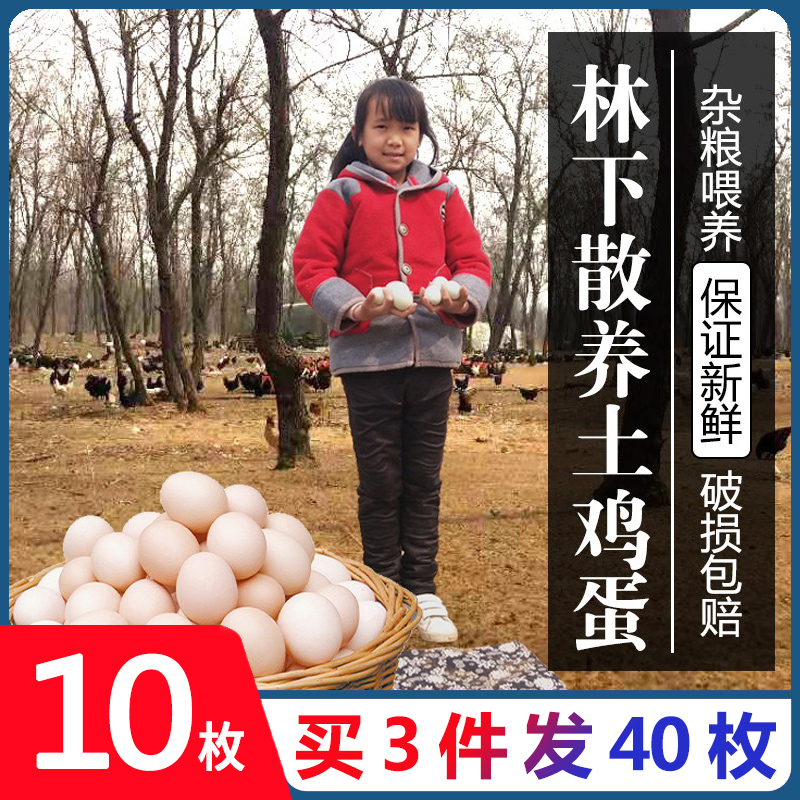 【买三件发40枚】林下散养新鲜土鸡蛋10枚农家笨鸡蛋柴鸡蛋草鸡蛋在类目 水产肉类/新鲜蔬果/熟食, 蛋/蛋制品, 鲜活蛋类, 鸡蛋中 - 来自Buy2taobao.com提供专业的淘宝代购服务