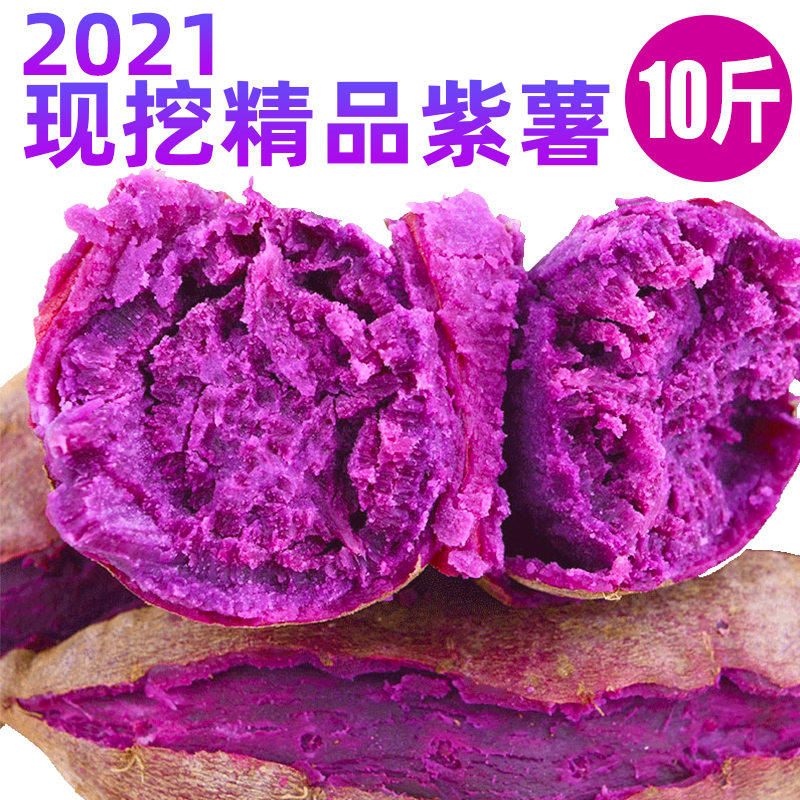 板栗紫薯新鲜现挖