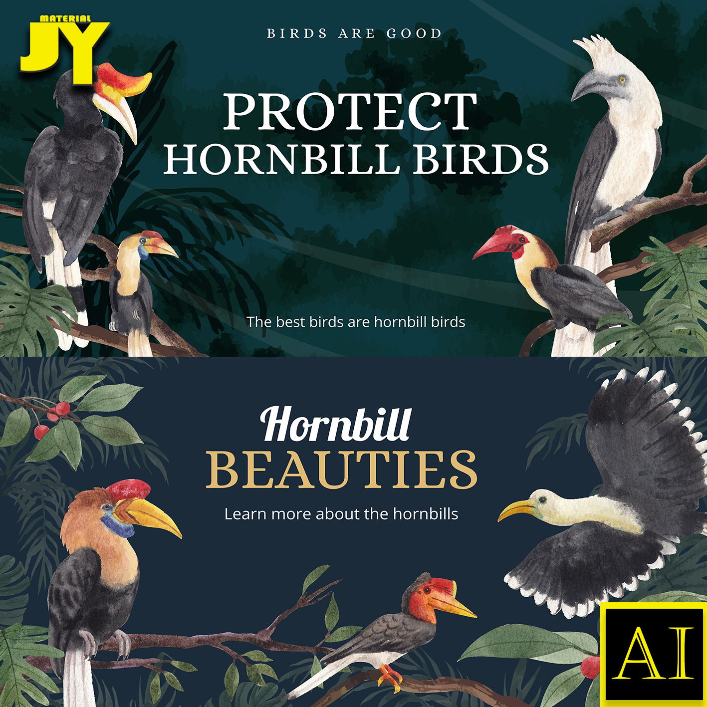 矢量手绘野生飞鸟犀鸟啄木鸟原始深林保护鸟类简介海报设计AI素材