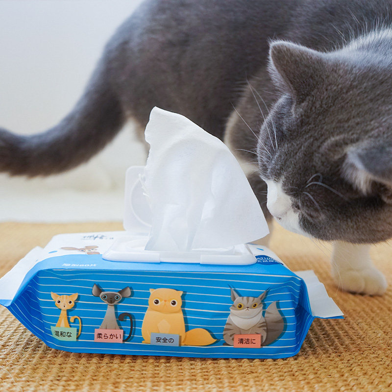 猫咪湿巾狗狗湿巾宠物消毒狗湿纸巾猫专用去泪痕宠物湿巾加厚80抽