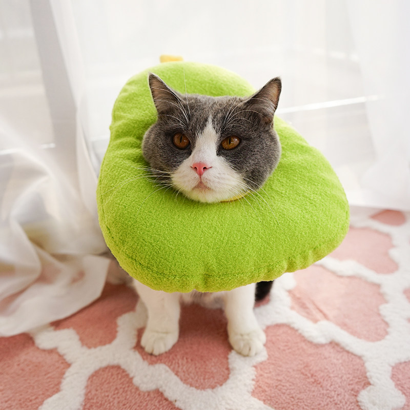 伊丽莎白圈可拆洗软布猫圈幼猫小猫兔子用绝育项圈猫咪绝育后用品