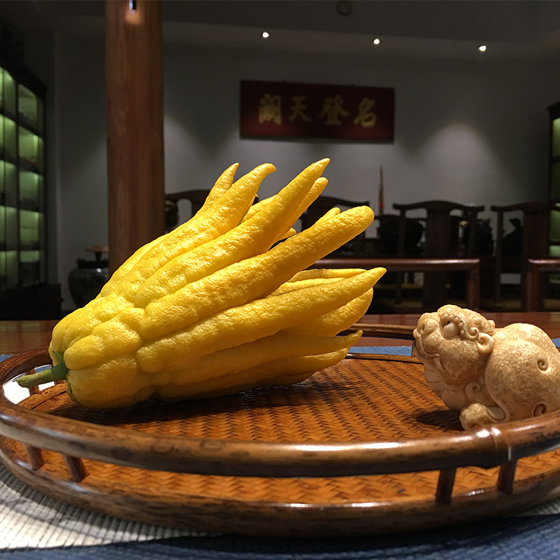 清供果金华佛手佛手柑新鲜佛手冷供清供清供佛手佛手果