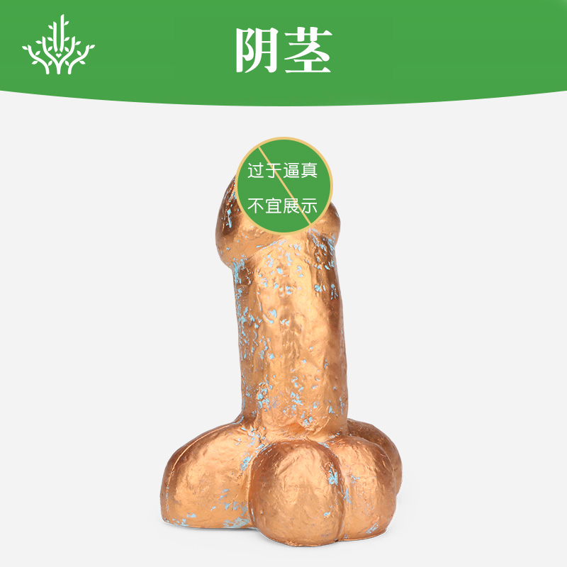 男人的那个东西有多大图片