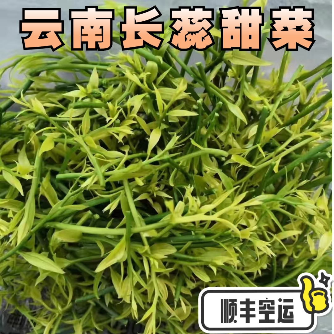 【顺丰空运】云南甜菜新鲜野菜长蕊菜