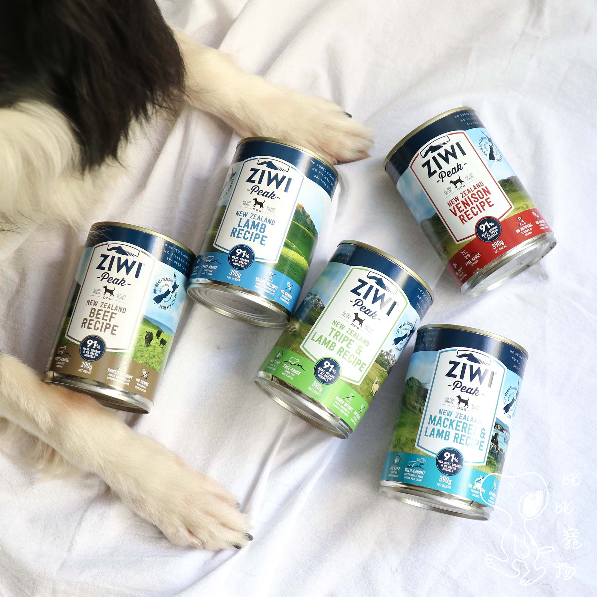拉布拉多能吃肥肉吗_拉布拉多犬吃什么食物能长胖_很胖的拉布拉多