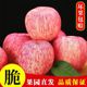 陕西高原红富士脆甜丑苹果3-10斤整箱当季应季新鲜水果批发价包邮