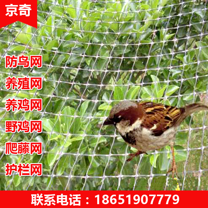 养鸡网护栏网防冰雹网爬藤网家禽养殖网养山鸡网尼龙网防鸟网|msdalam kategori penghantaran bunga/bunga simulasi/tumbuhan berkebun, Gardening Supplies, Peralatan Perkebunan lain - dari Buy2taobao.com untuk memberikan perkhidmatan ejen Taobao profesional membeli