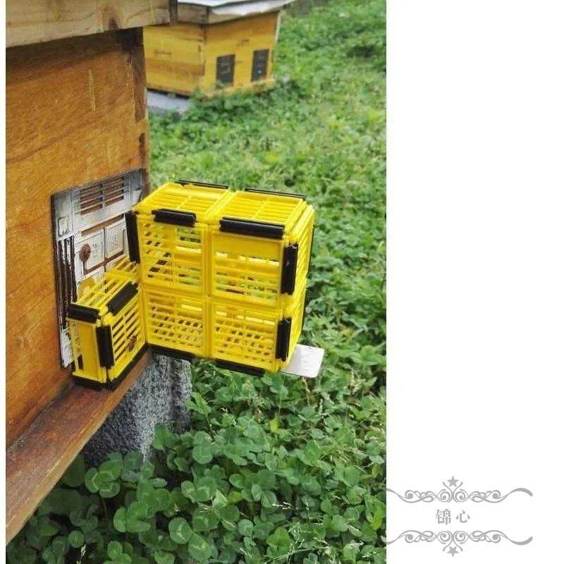 无人值守自动分蜂器蜜蜂自动收王器囚雄收王分蜂刺杉木蜂箱配件