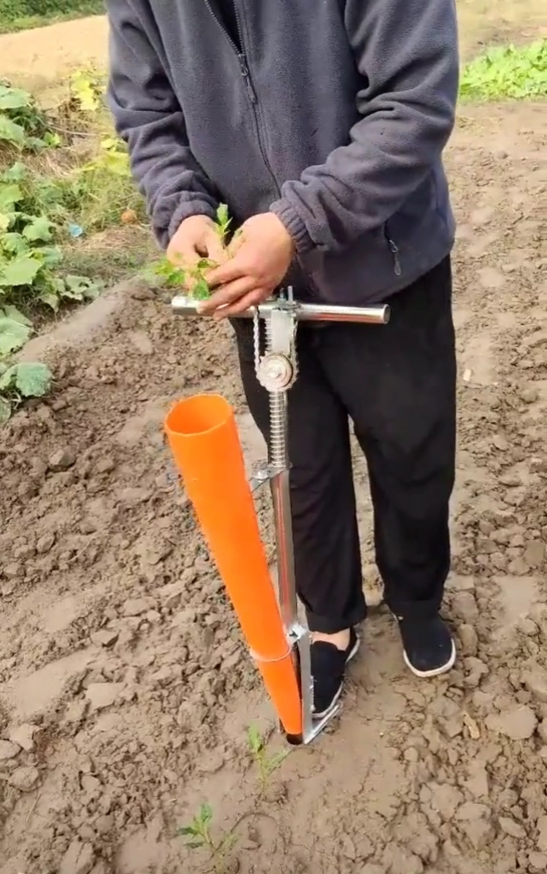 迪宝压菜器移栽器辣椒播种器定植器种苗器种菜栽苗机大桥农具助农